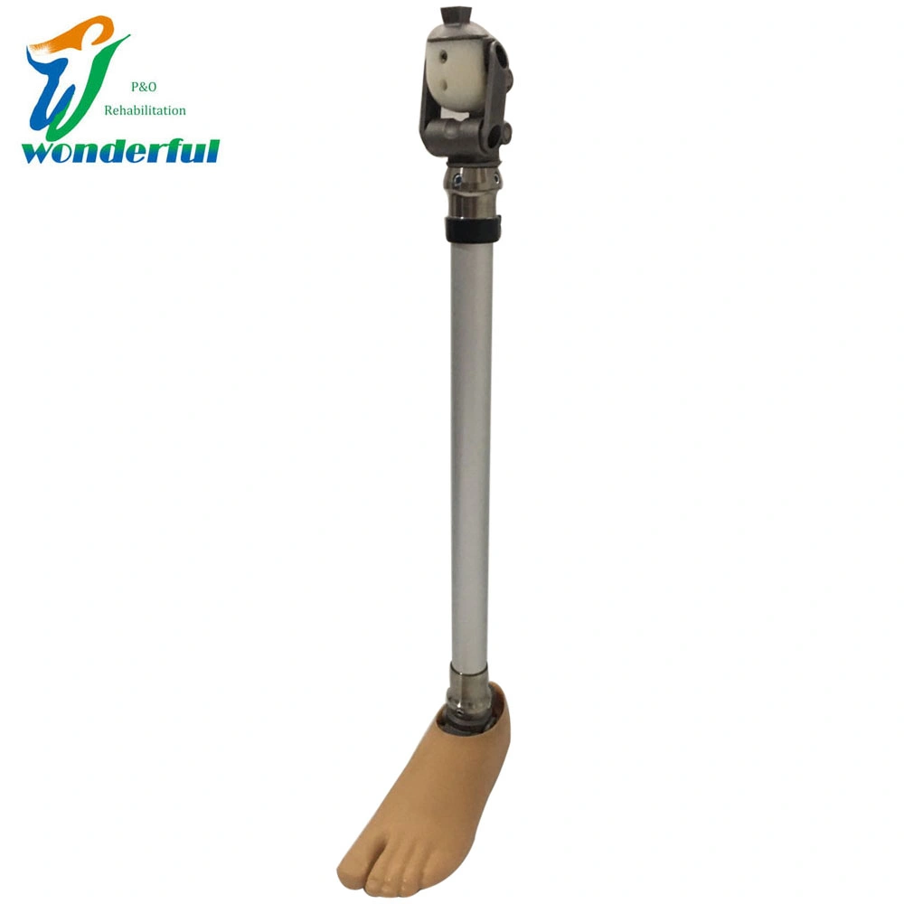 Artificial Limb Titanium 4-Bar Linkage Knee Joint